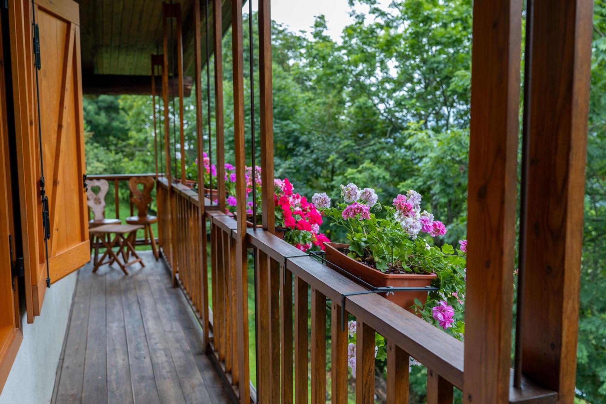 La Finestra Sul Monviso Apartment กริสโซโล ภายนอก รูปภาพ